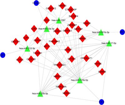 Frontiers Development And Validation Of A Genomic Nomogram Based On A